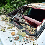 After almost finishing repairing one of his cars, one of the trees downed by the microburst smashed through the car’s rear window. (Photo by Halle Parker)