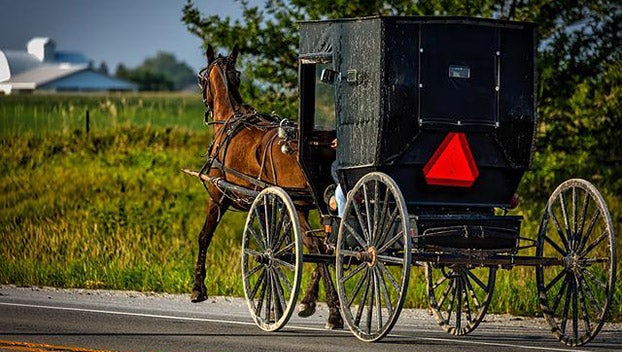 Amish Amish buggy